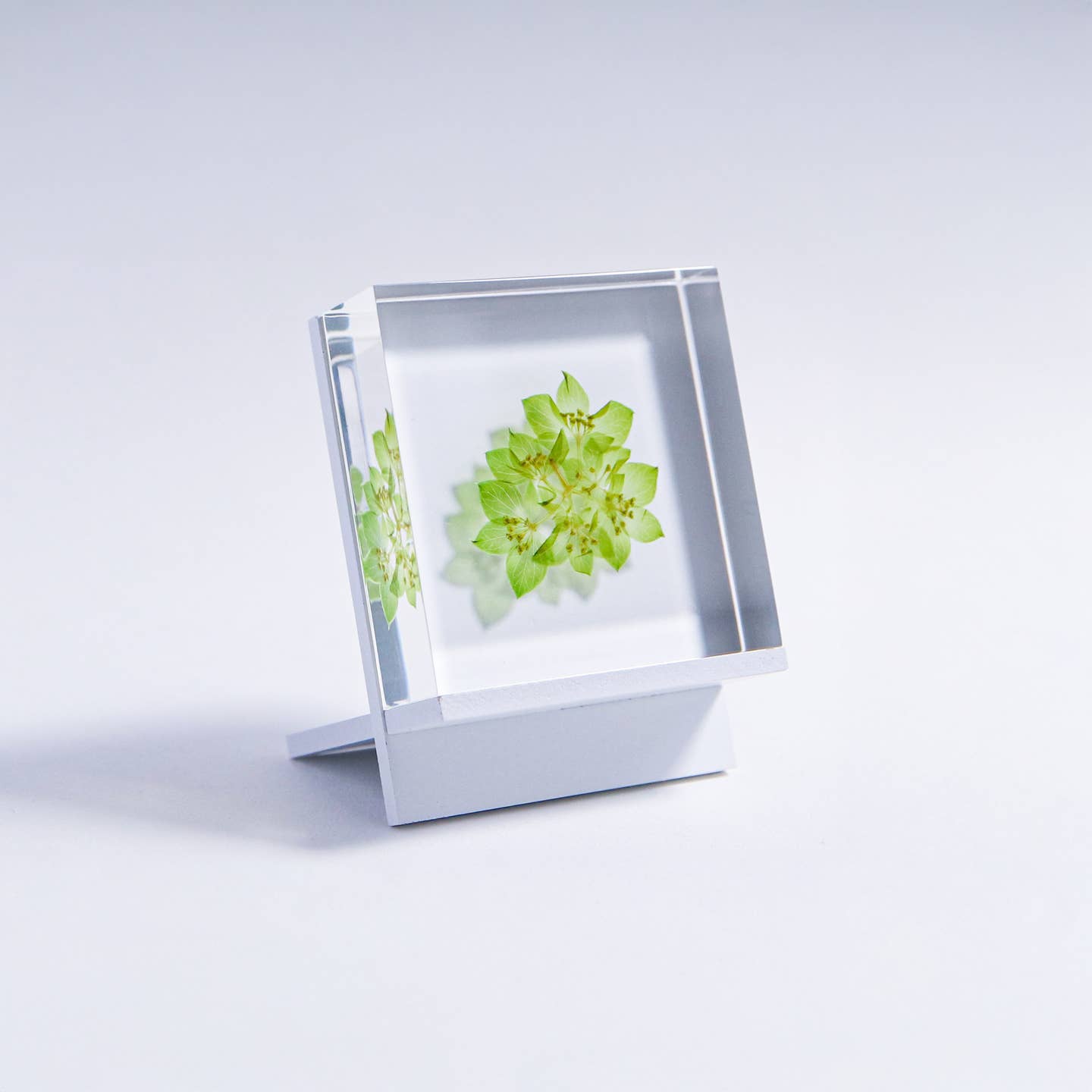 White tile stand with square front frame holding green leaf artwork
