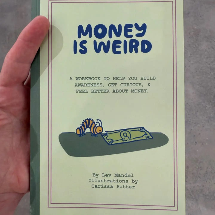 Money is Weird journal, illustrated cover with title text and dark blue border frame