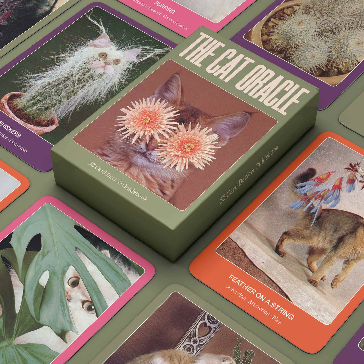 Cat oracle card deck and cards laid out in a colorful collage