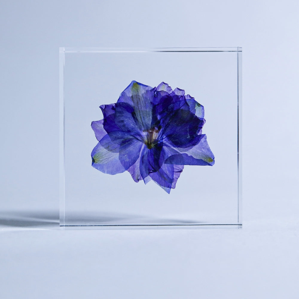 Clear acrylic sola flower tile with blue-purple larkspur bloom and green accents