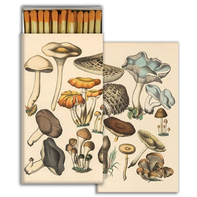 Foraged mushroom matchbook set with illustrated mushrooms on two covers
