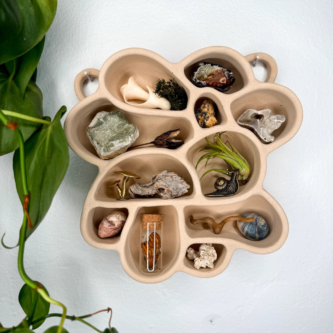 Sand wall shelf with tree-shaped design and multiple stone display compartments