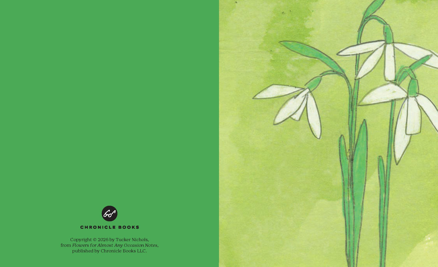 Green page spread with white daffodils and stems illustrated on a pale background