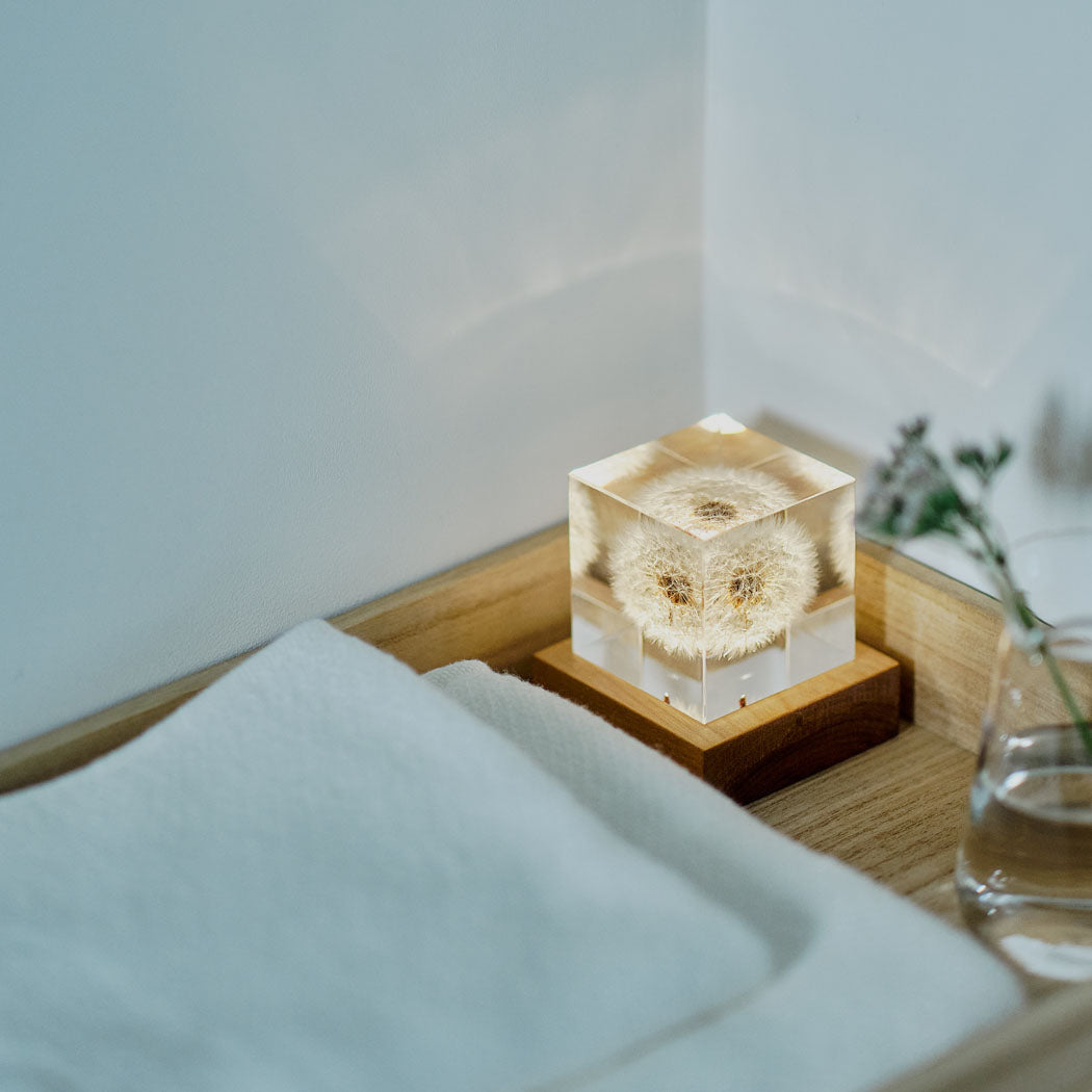 Wood cube light base with clear glass cube and decorative specimen