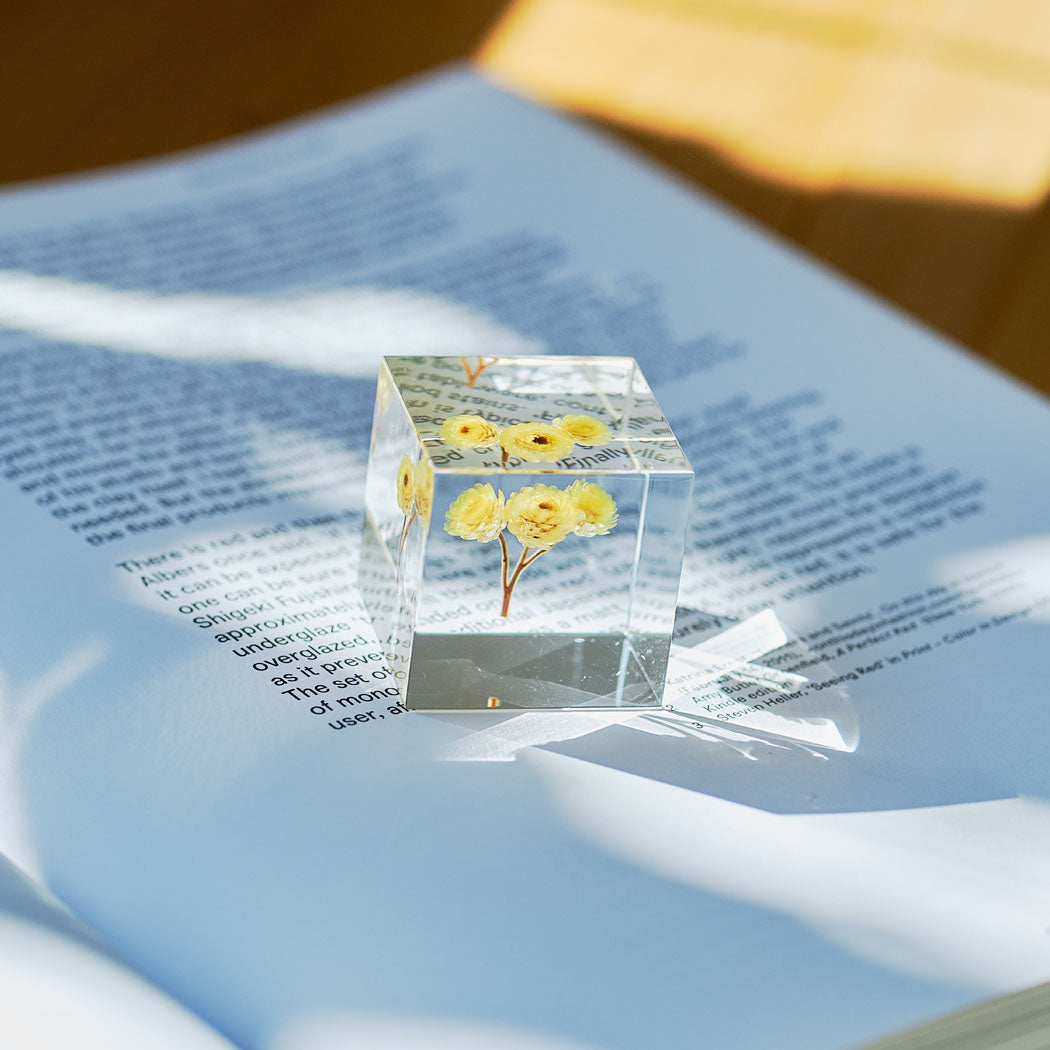 Clear glass cube with preserved yellow flower lying on magazine pages