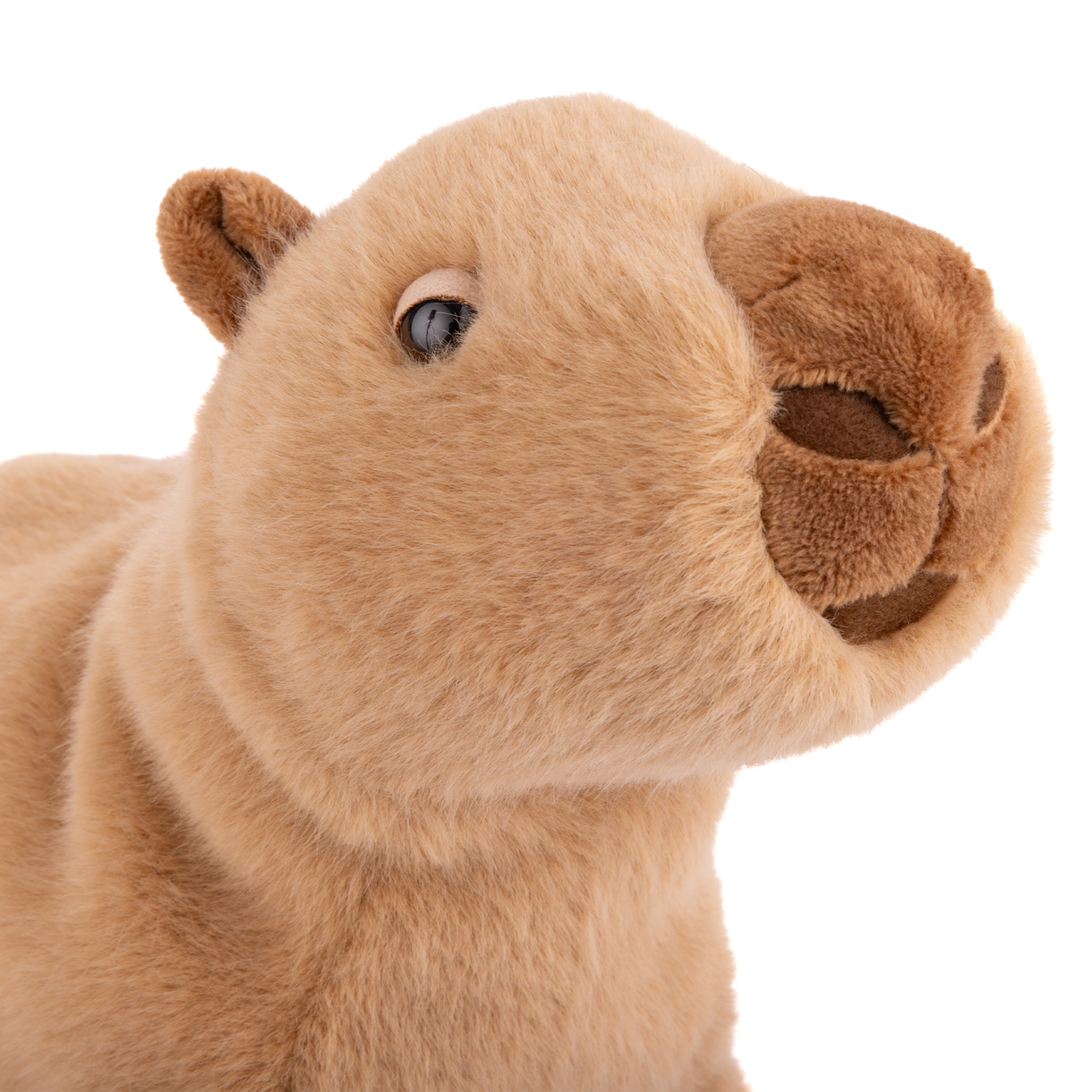 Tan capybara plush with stitched snout and darker brown ears, close-up