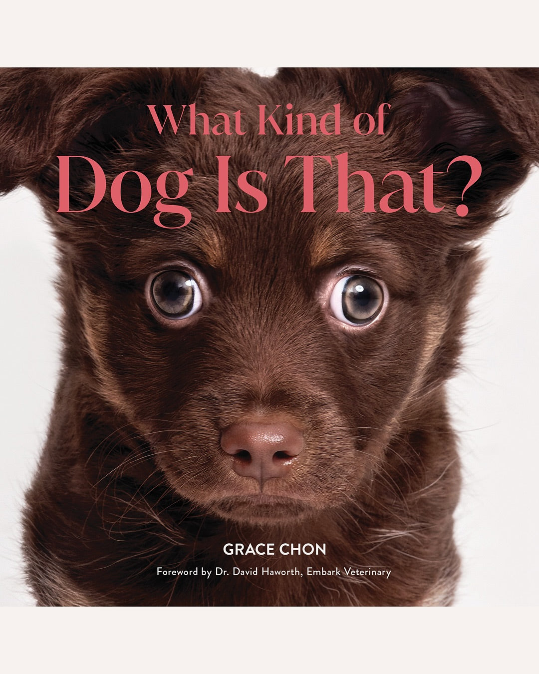 What Kind of Dog Is That? dog book cover with close-up brown puppy eyes.