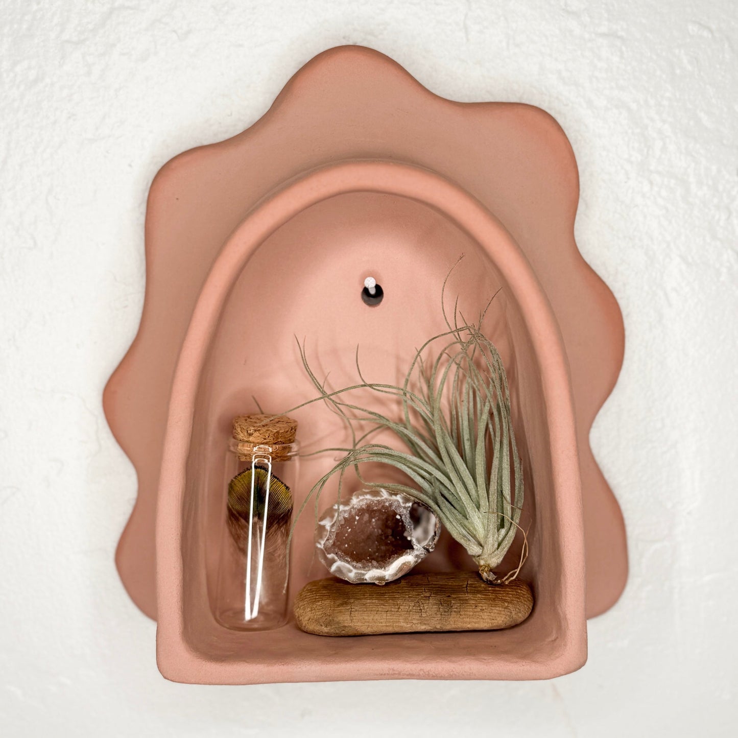 Pink petal-shaped arch wall decor with mini glass bottle and air plant
