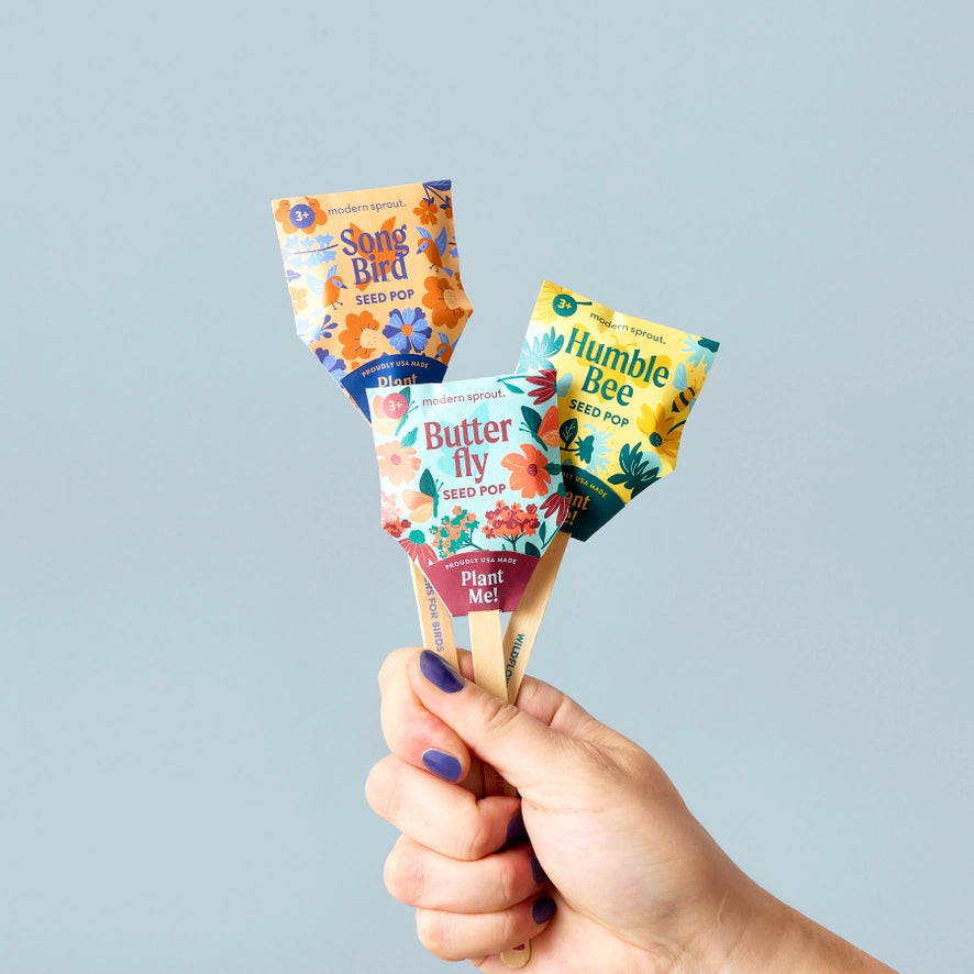 Seed pop sticks held in hand with colorful seed packets