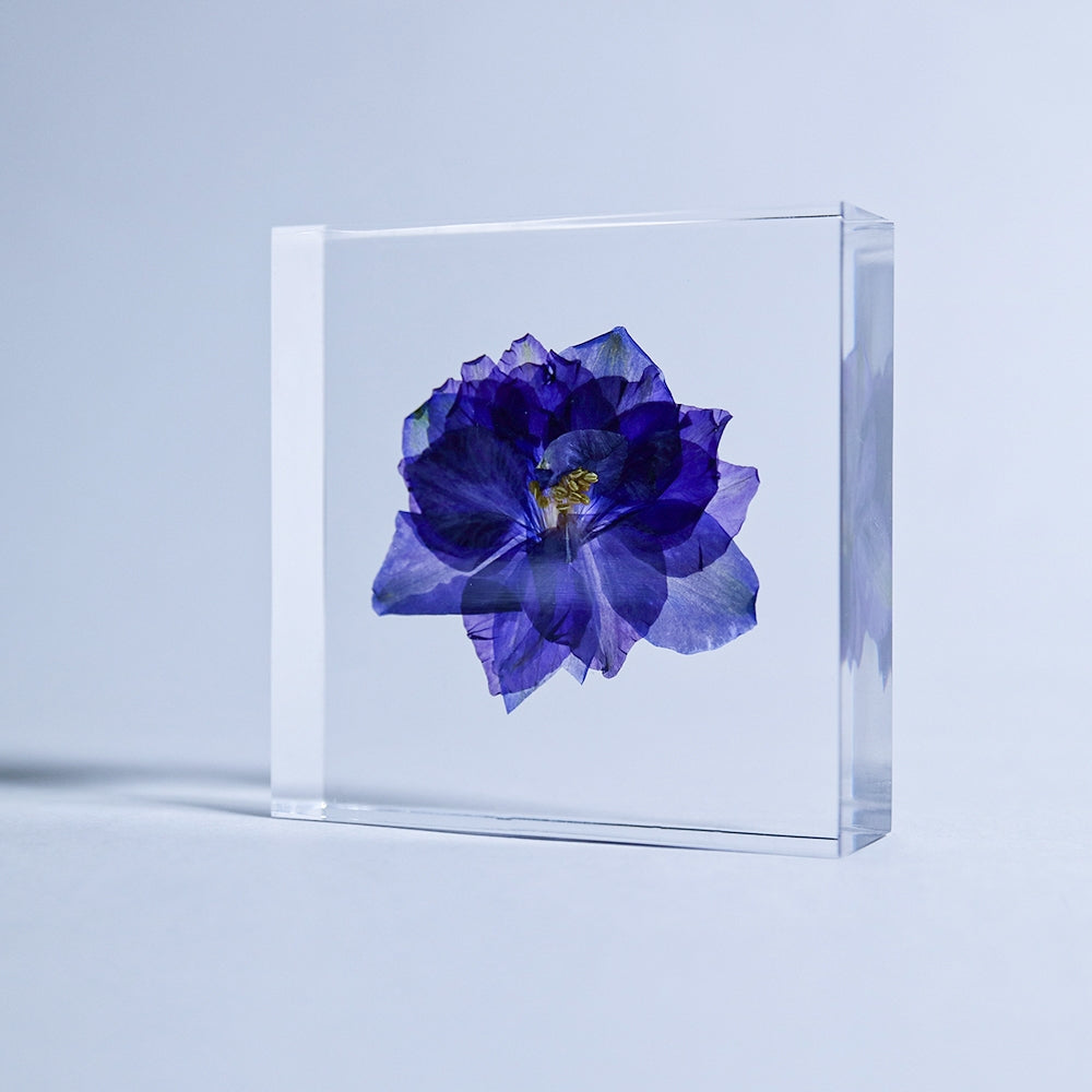Clear acrylic sola flower tile with centered blue-purple larkspur bloom