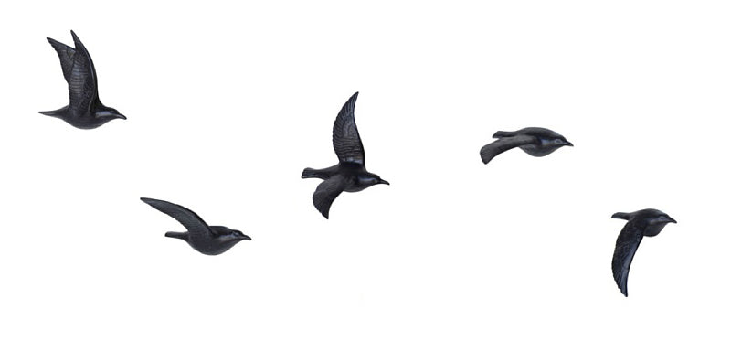 Set of five black flying gull figurines shown as individual flying bird silhouettes
