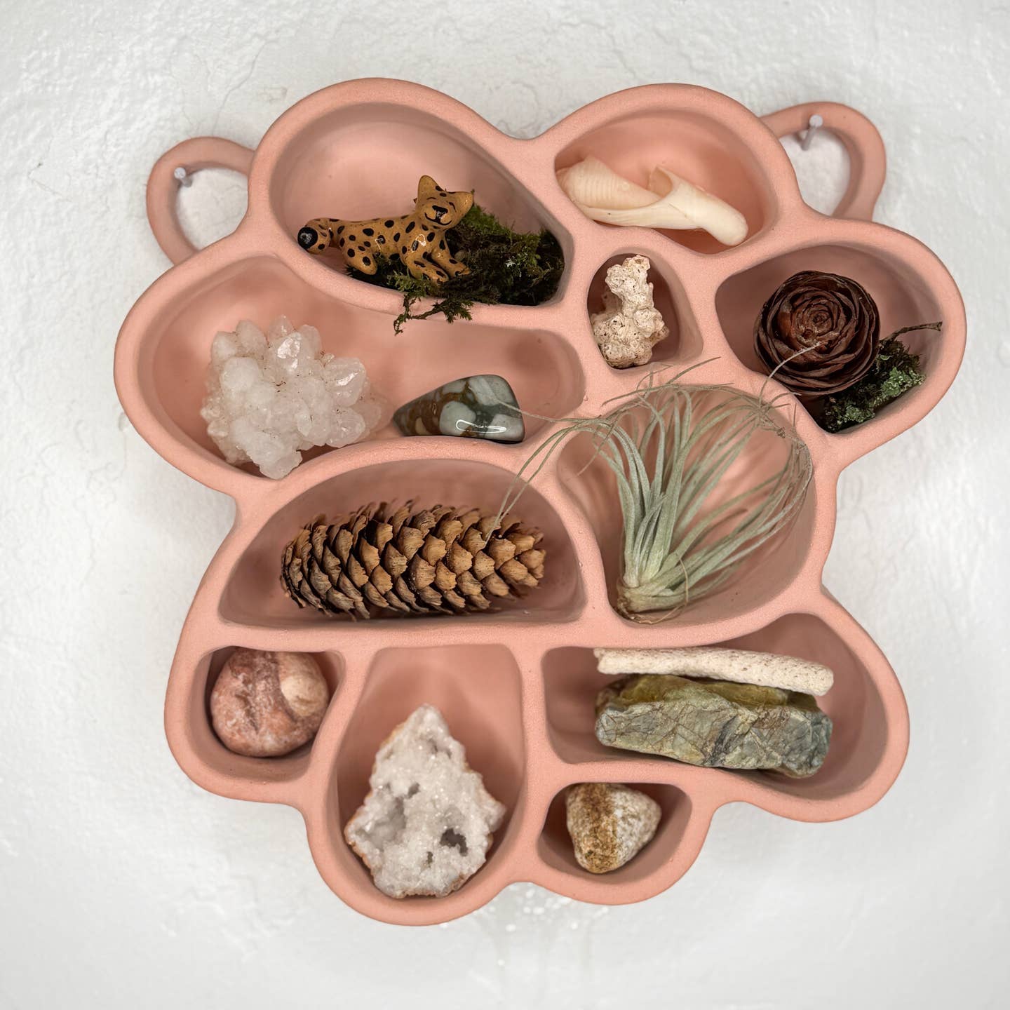 Petal pink flower-shaped cement shelf with multiple inset compartments for decor