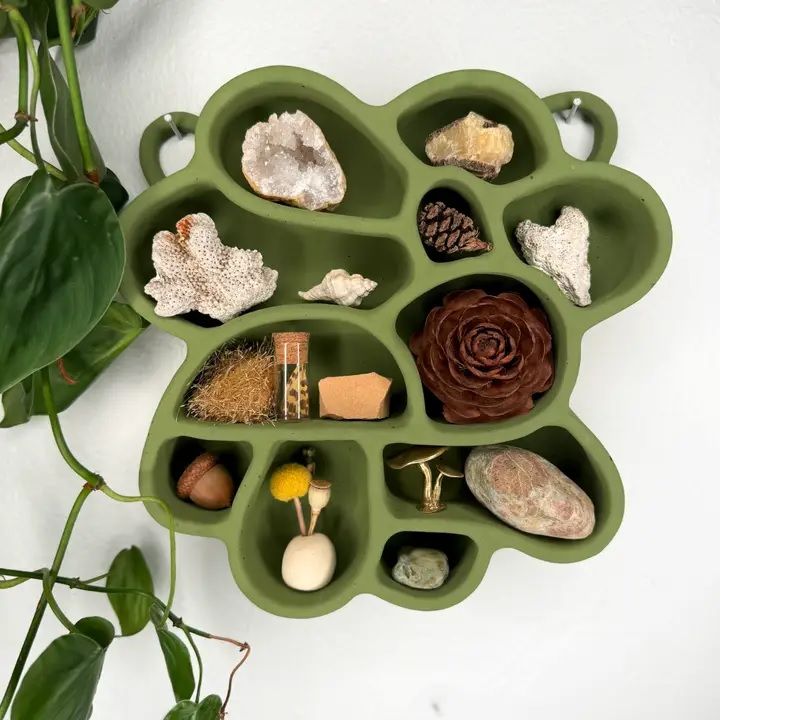 Cement Shelf of Inspiration No. 2 - Olive