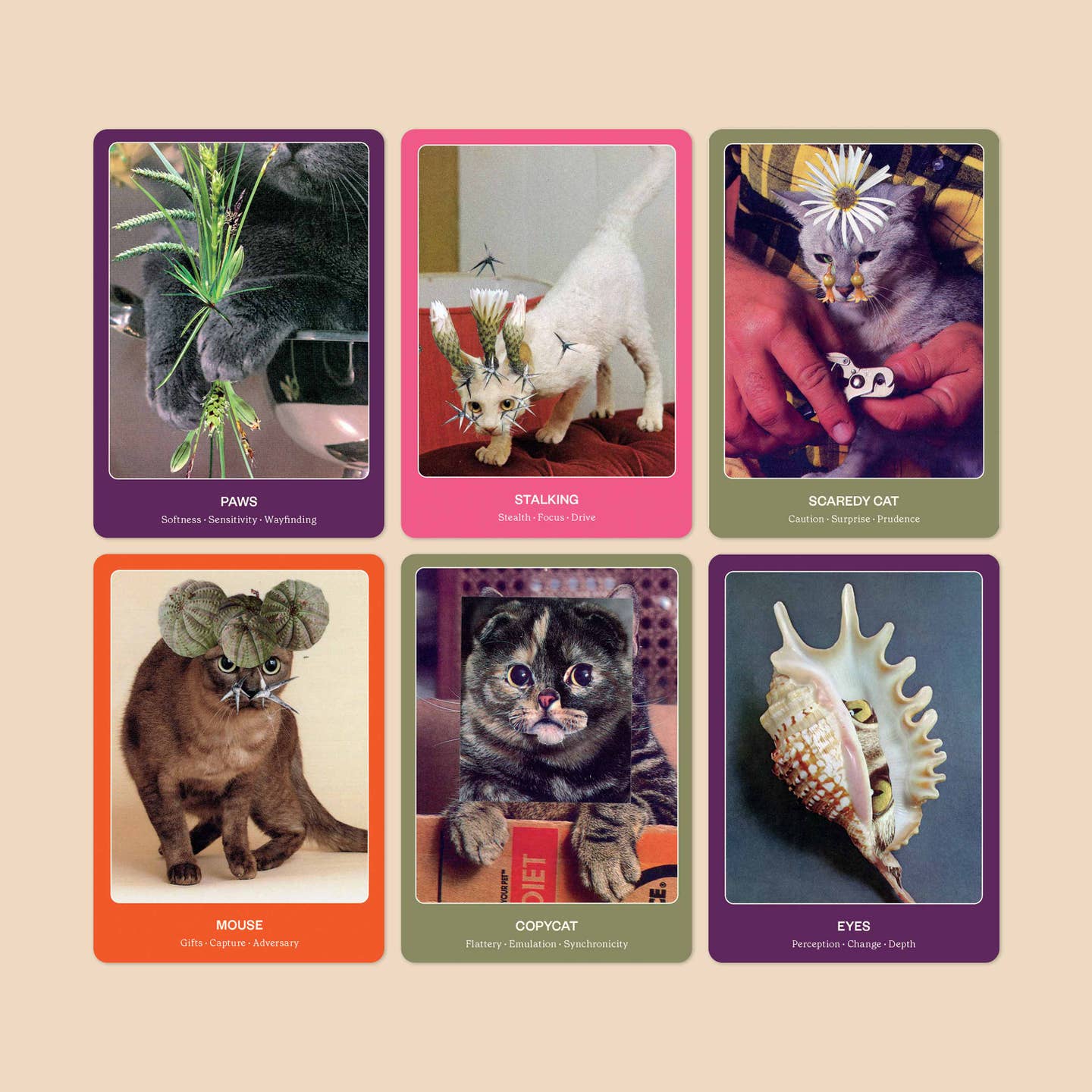 Cat oracle cards featuring cat photos, arranged in a grid