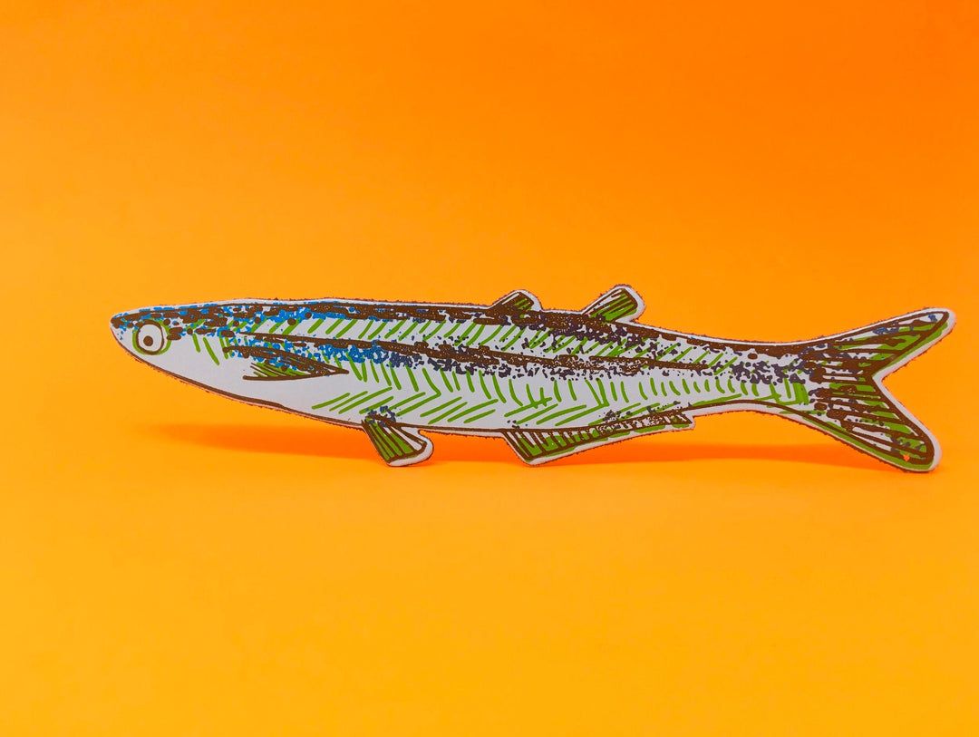 Fish-shaped pale blue bookmark with colorful illustrated fins