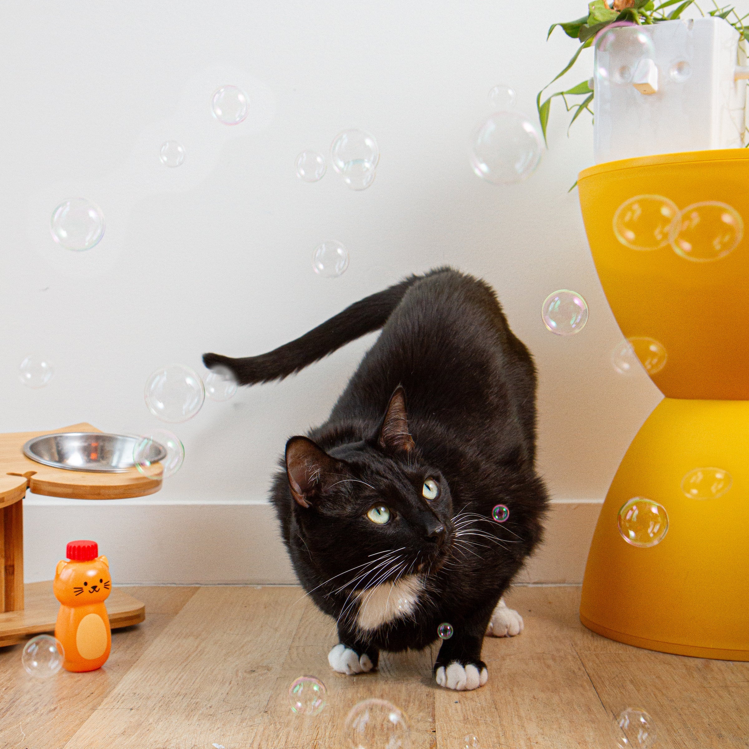 Orange cat-shaped bubble bottle with red cap and wand beside a black cat