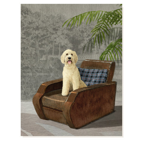 Goldendoodle card with a cream dog sitting on a brown sofa.
