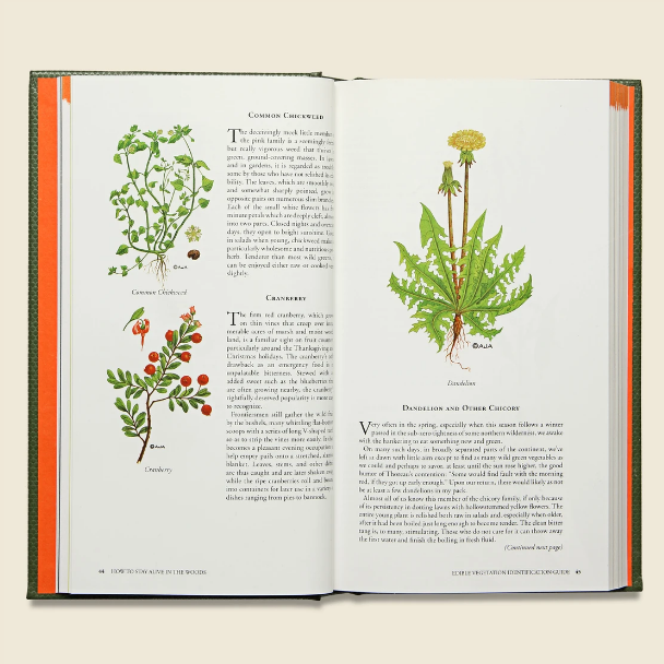 Survival guide book open to illustrated foraging and safety pages