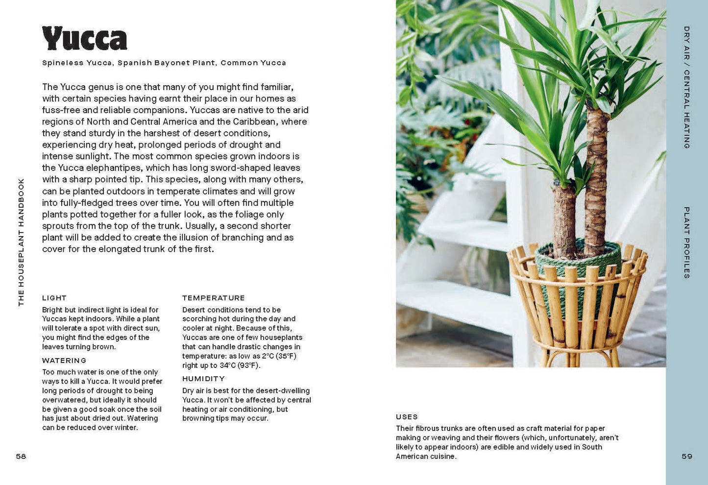 Open houseplant handbook pages with yucca info and potted plant photo