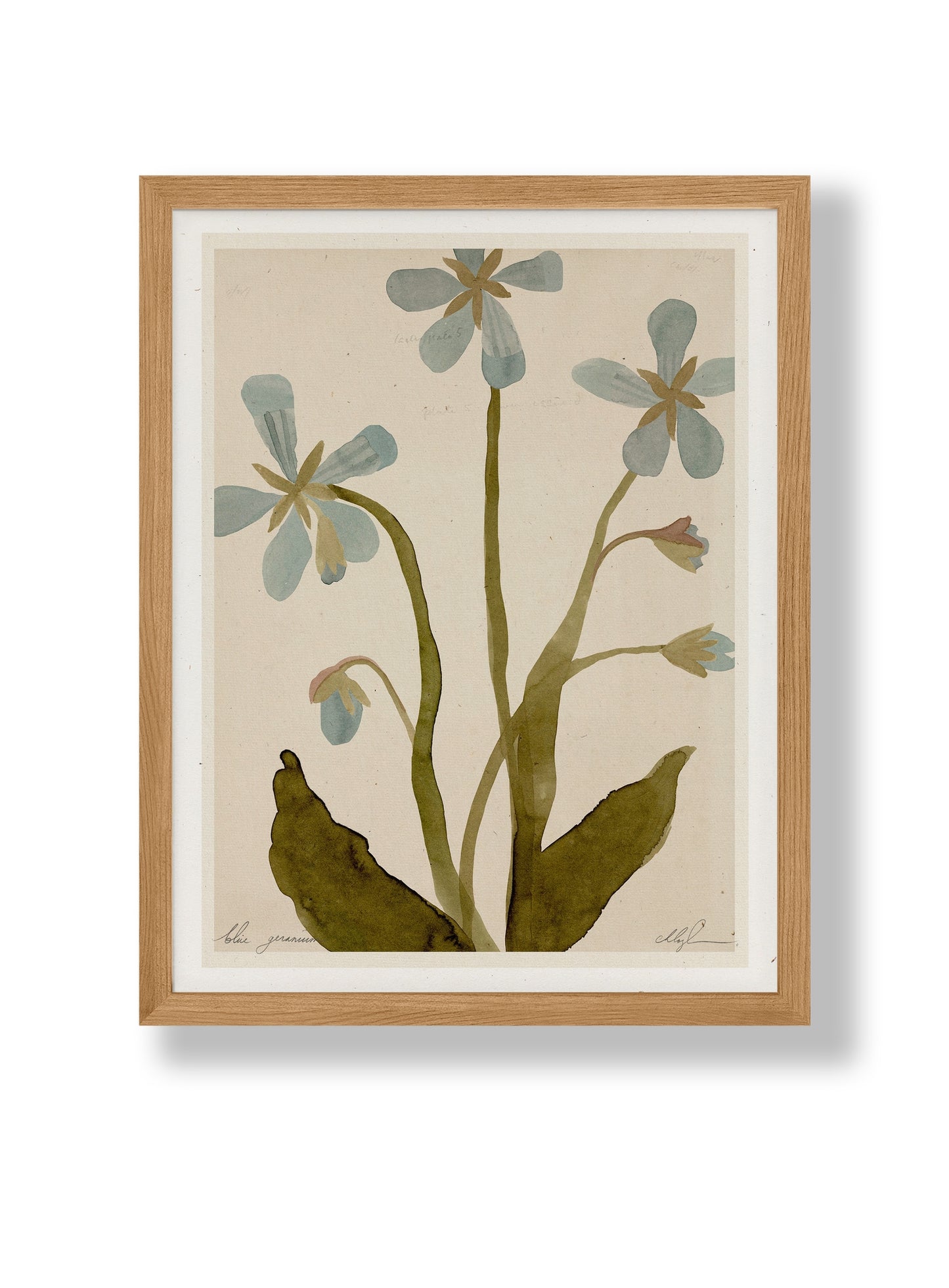 Framed 8.5x11 botanical print with blue geranium flowers and green leaves