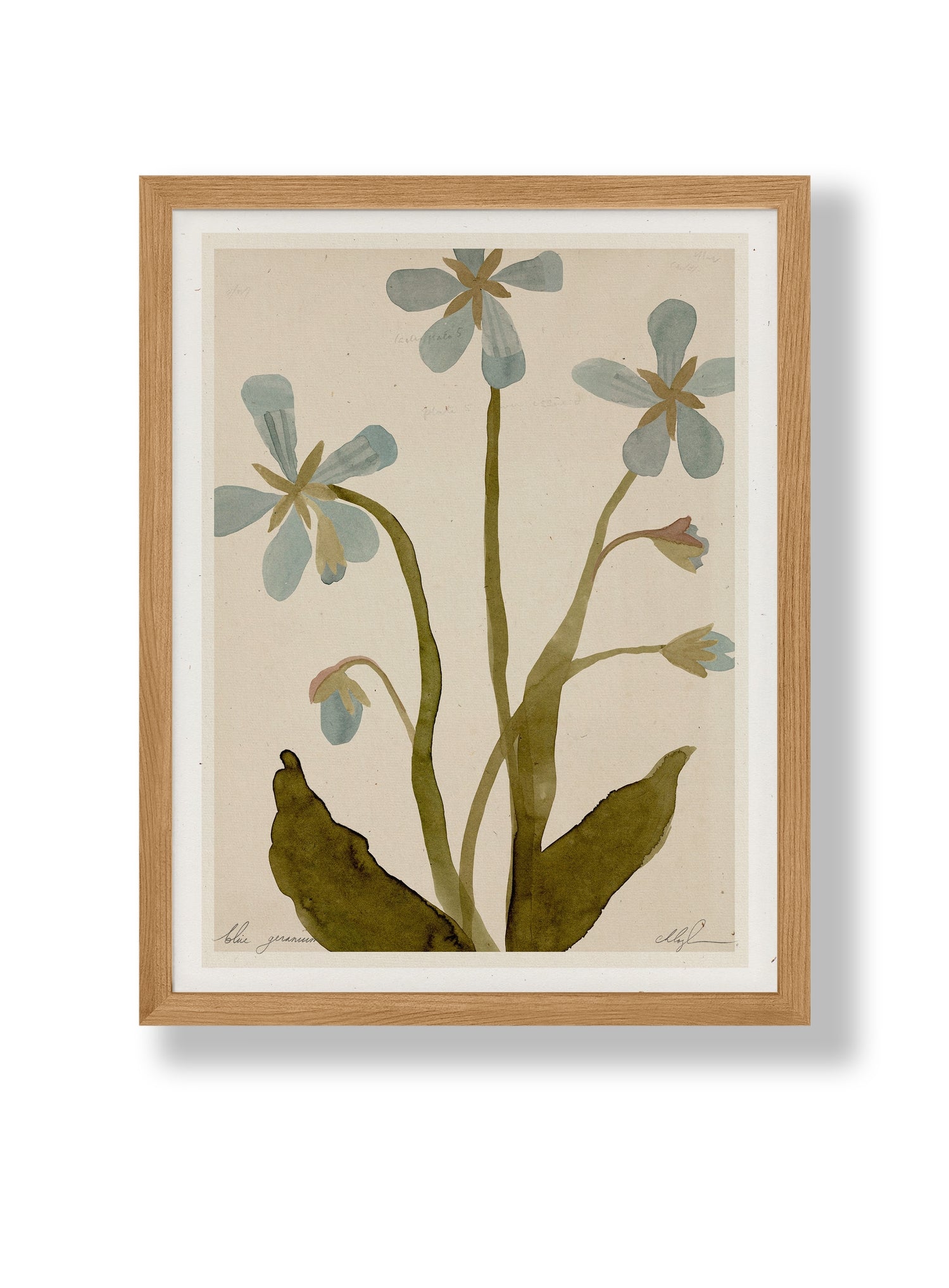 Framed 8.5x11 botanical print with blue geranium flowers and green leaves