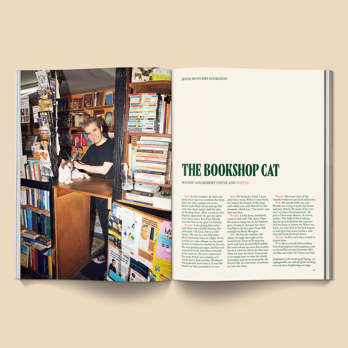 Open cat magazine spread with bookstore scene and The Bookshop Cat caption