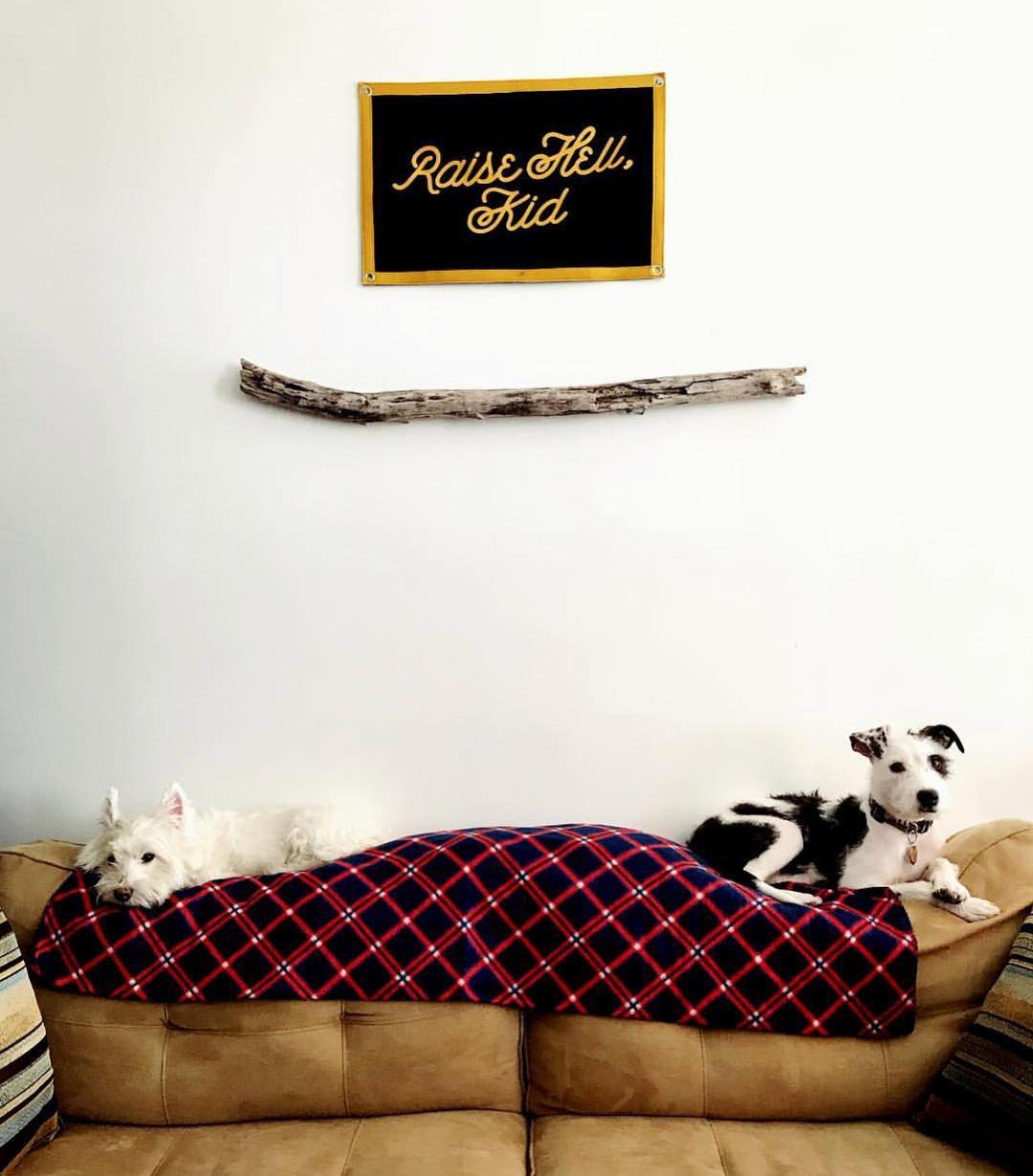 Small camp flag with black background, gold frame, and “Raise Hell, Kid” script.