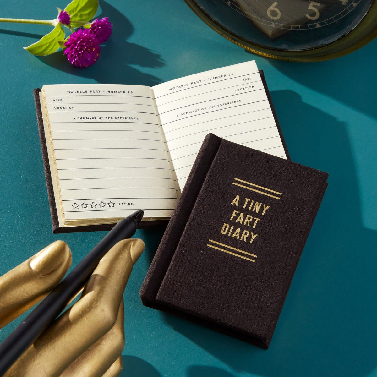 Tiny Diary - Fart Diary