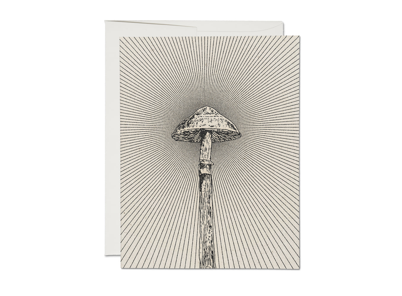 Everyday card with line-art mushroom illustration on textured striped background