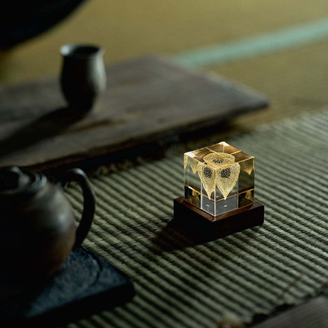 Wood cube light base with clear glass cube and decorative specimen