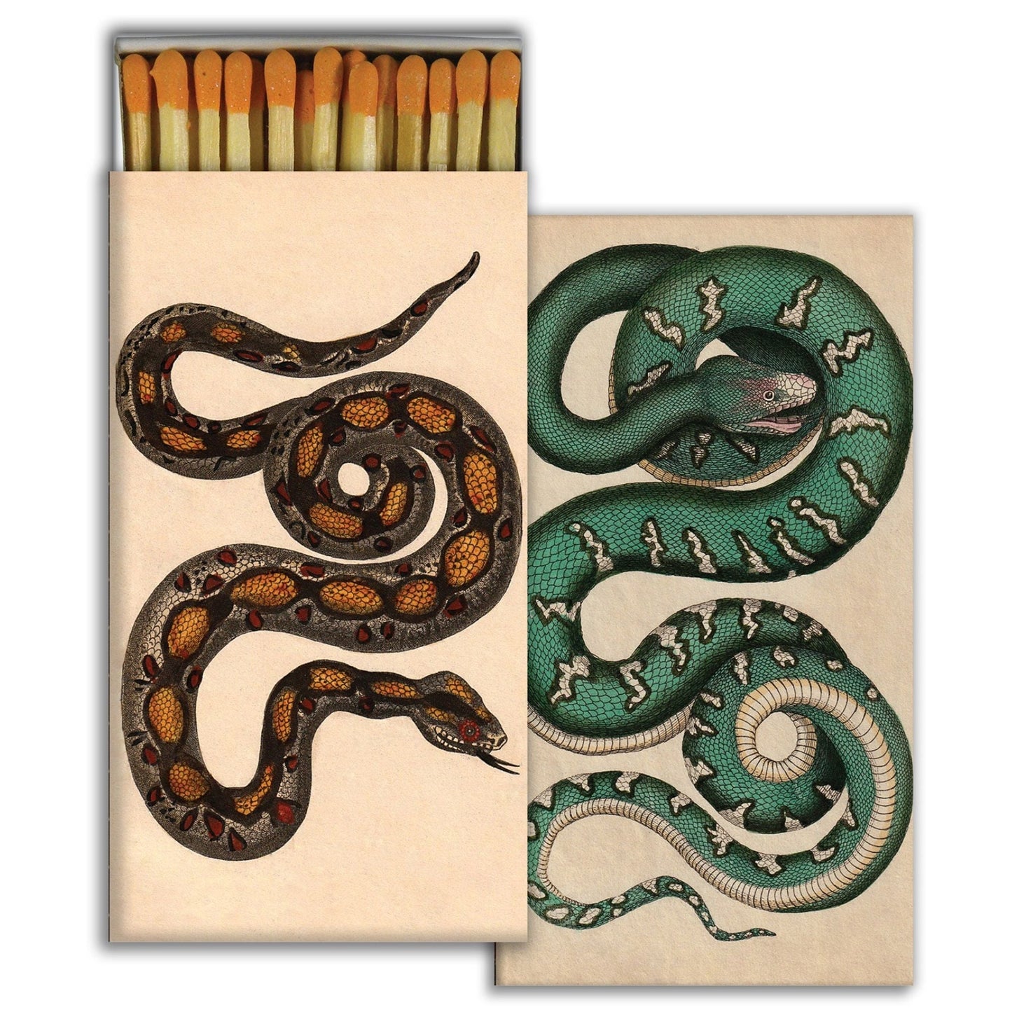 Snakes art card set with matchsticks, dark brown and green illustrations on cream cards.