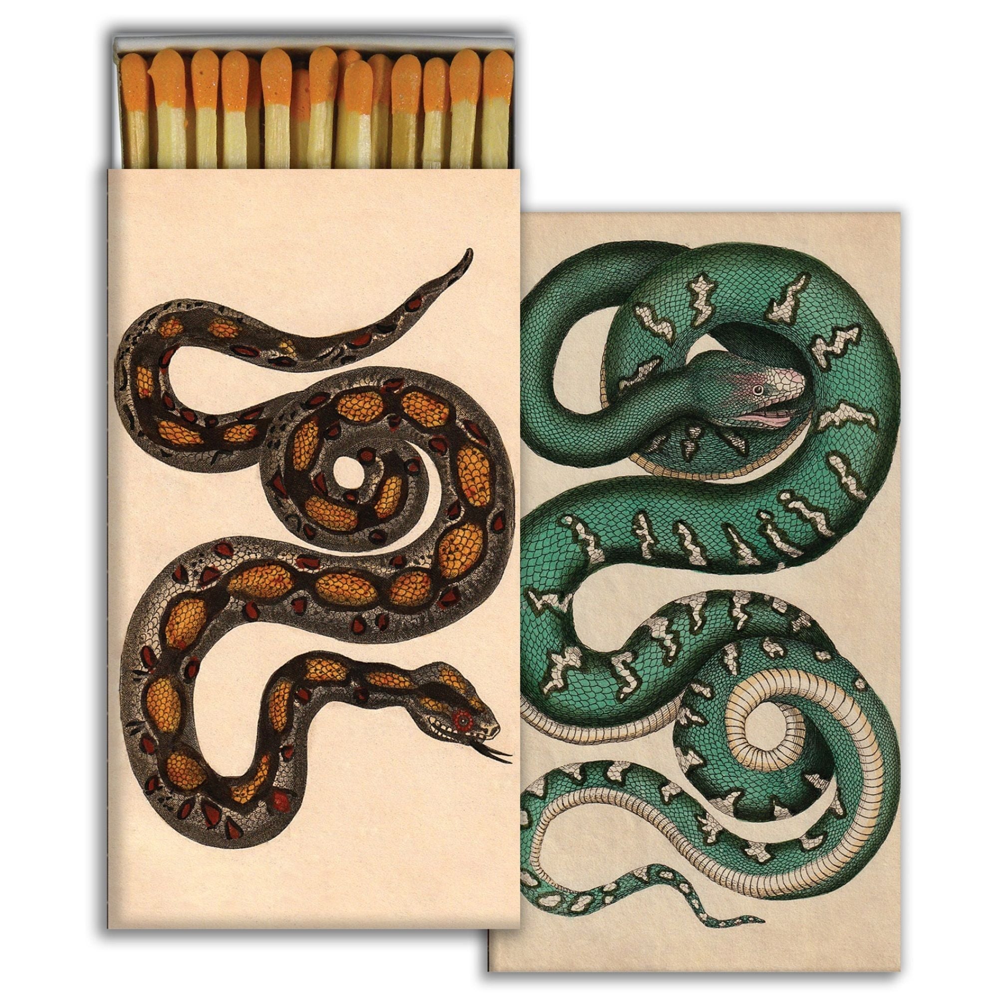 Snakes art card set with matchsticks, dark brown and green illustrations on cream cards.