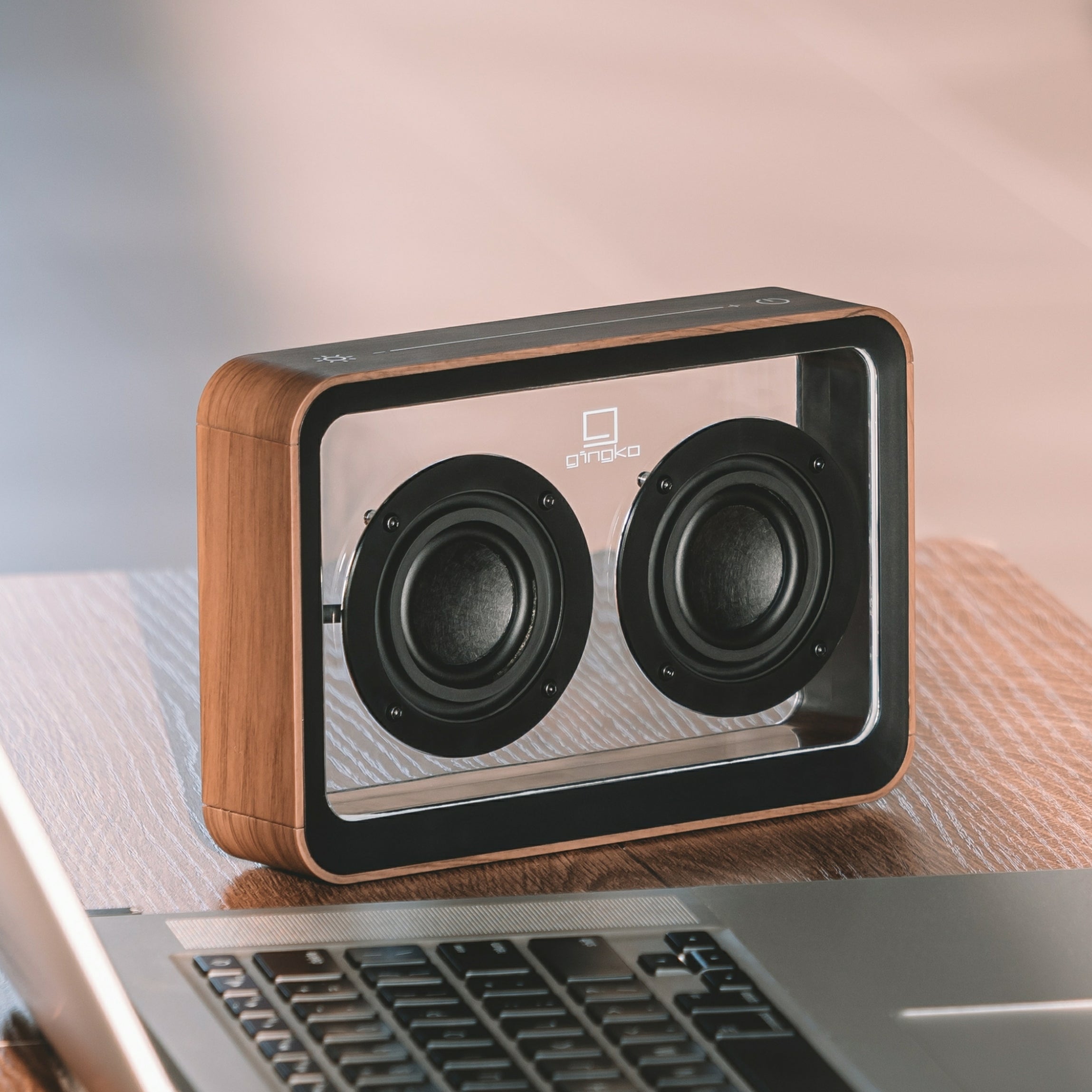 Walnut see-through speaker with two black drivers on transparent front panel
