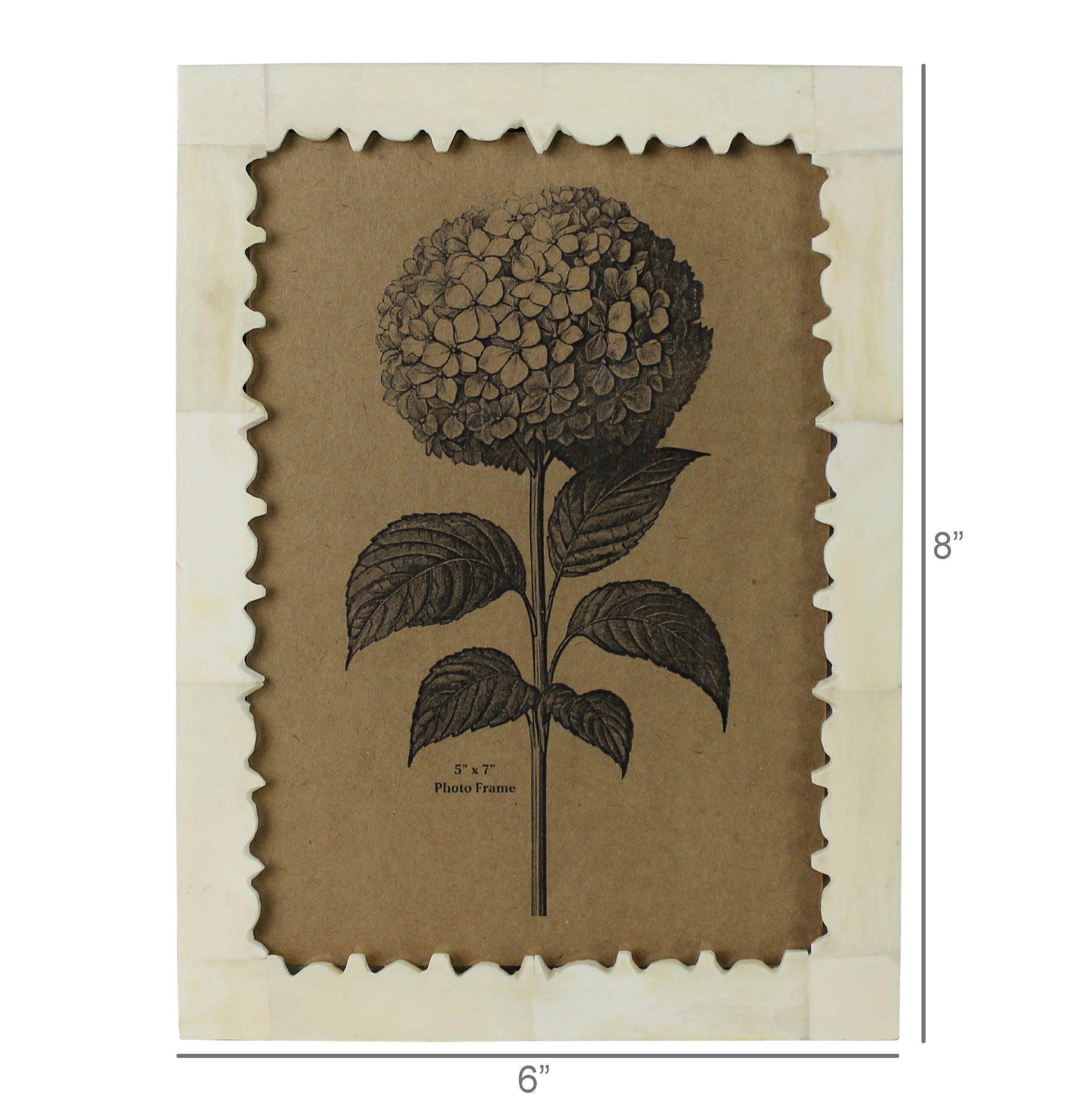 Carved edge bone photo frame, scalloped border, dark brown tree print, 5x7.