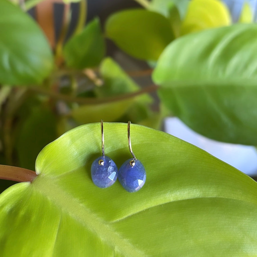 Blue oval gemstone drop earrings on gold-tone hooks