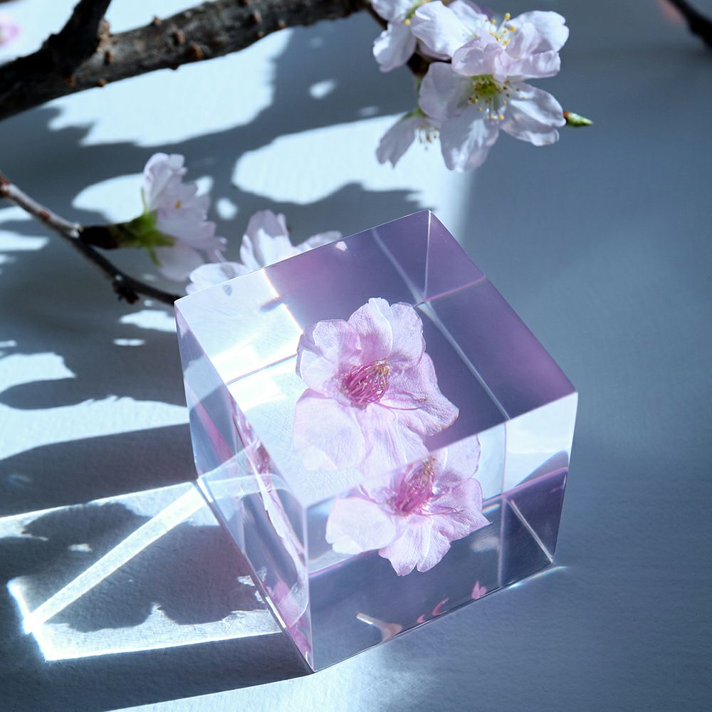 Clear prism cube with pink cherry blossoms, angled view