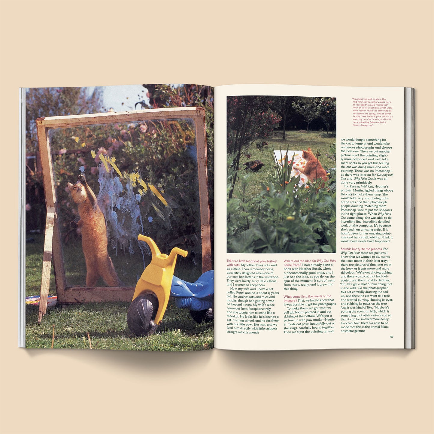 Open cat magazine spread with garden photo featuring a cat near plants and text