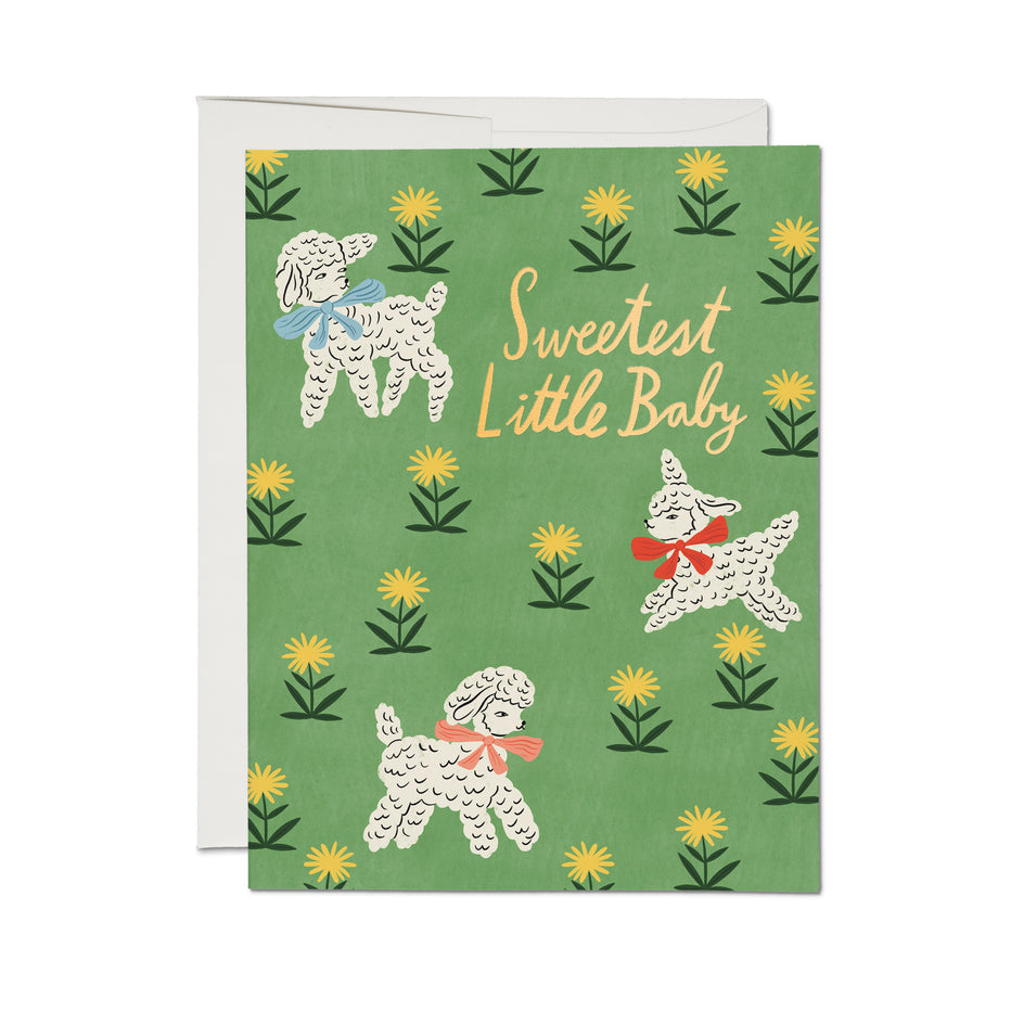 Little Lamb baby card with green floral doodle pattern and poodle illustration, Sweetest Little Baby text
