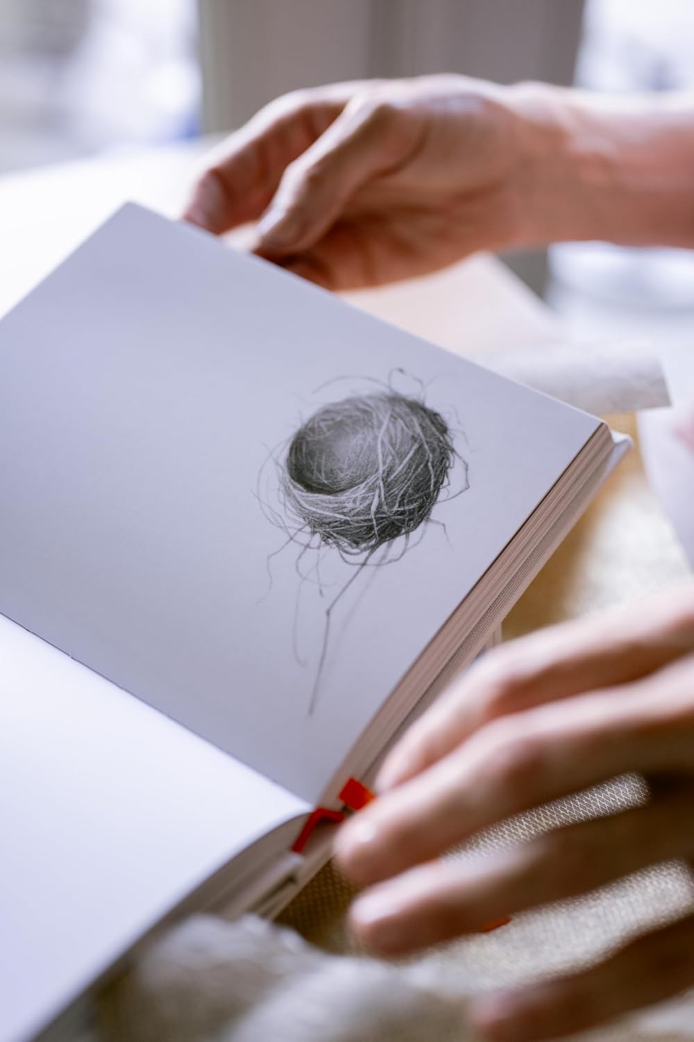 The Book of Thanks: A Catalogue of Gratitudes