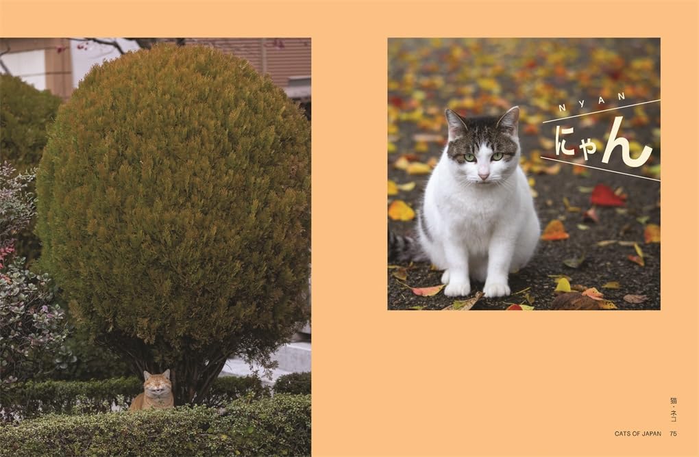 Neko: Cats of Japan