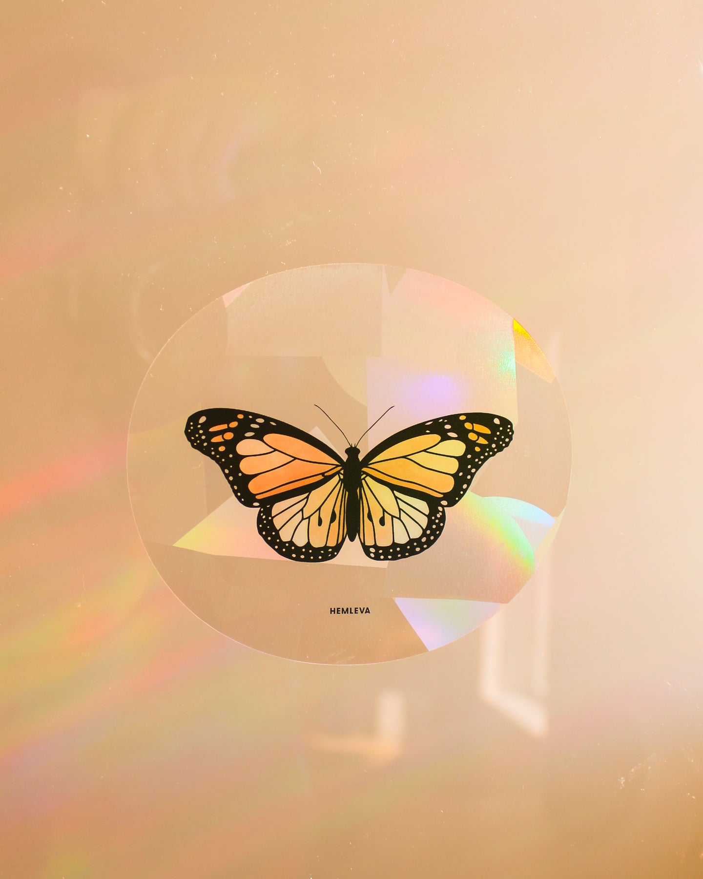 Medium butterfly suncatcher, round panel with butterfly motif and rainbow light projection