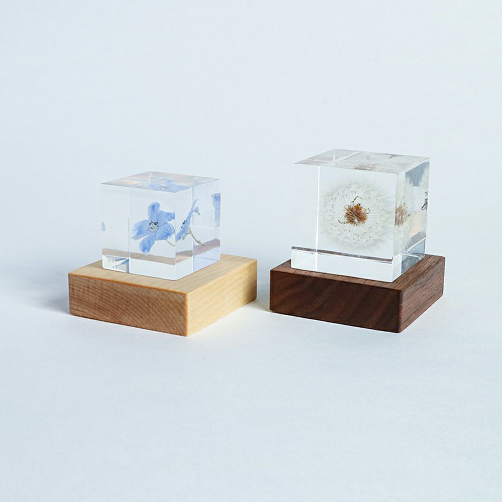 Pair of wood cube light bases with clear glass cubes and decorative specimens