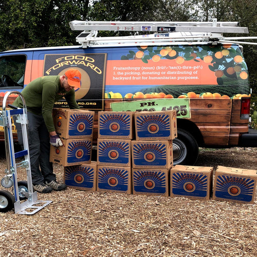 Load image 1 in gallery view. Orange marmalade donation boxes stacked beside a food-forward truck