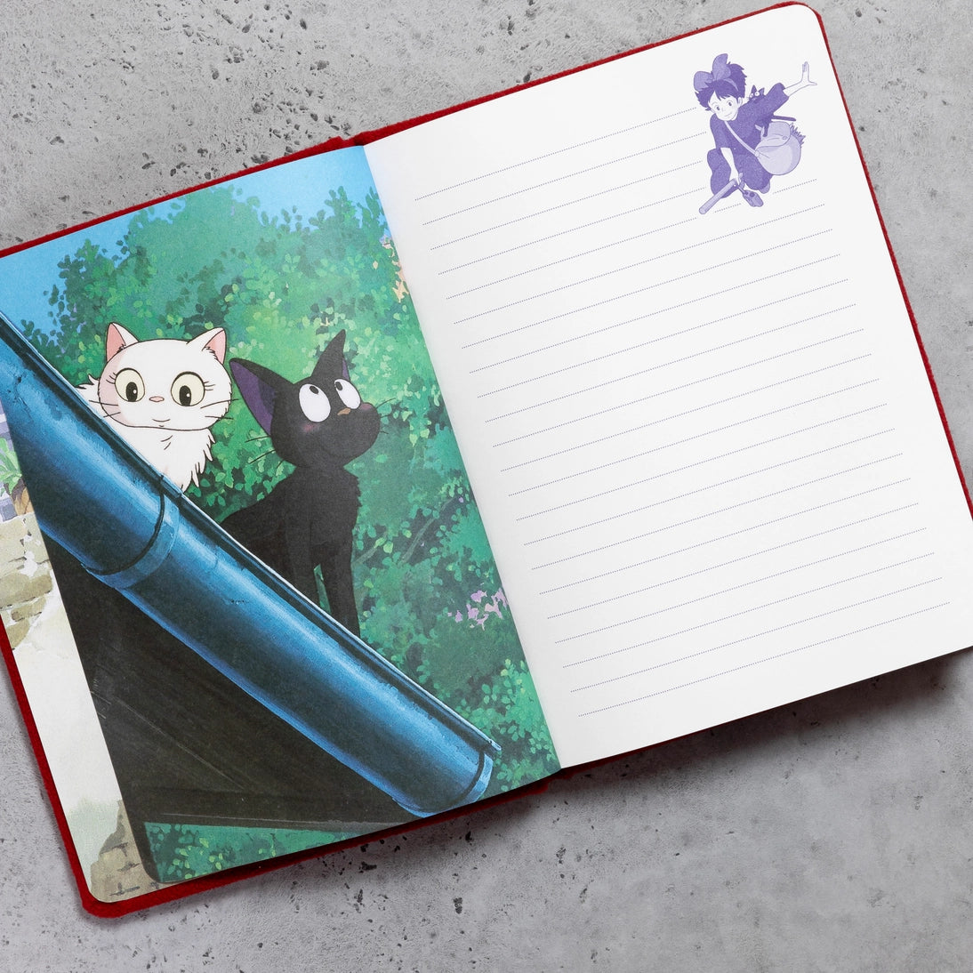 Open plush journal showing cats sitting on a blue bench with lined writing pages