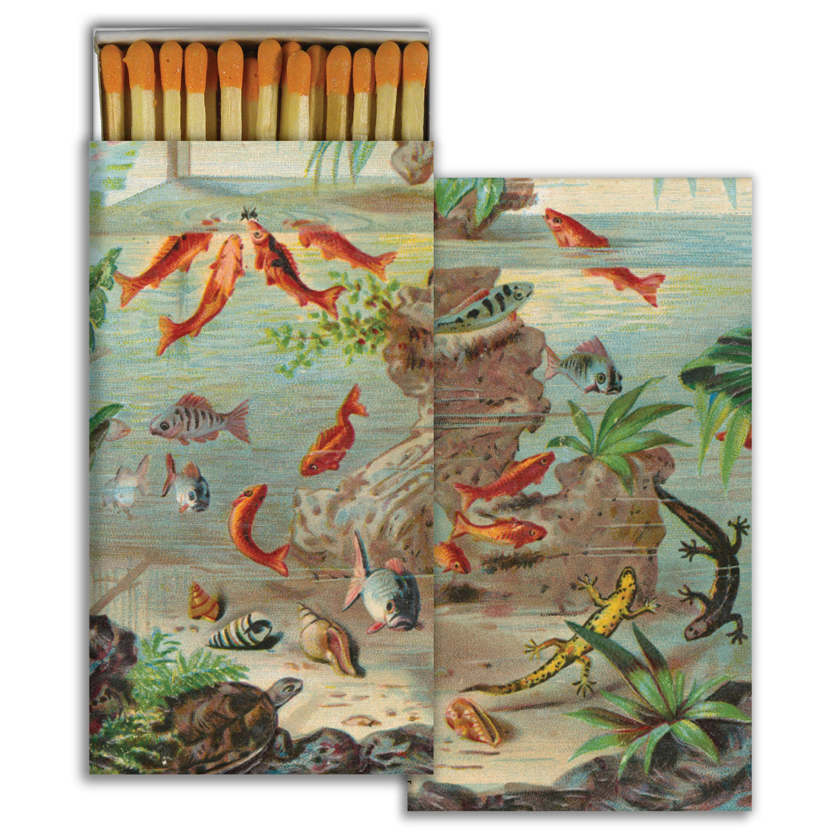 Matches - Aquarium