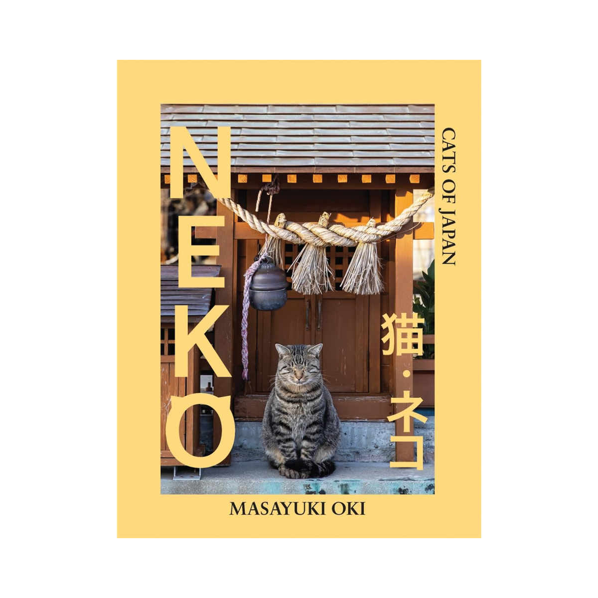 Cats photo book cover with gray tabby cat sitting in a doorway