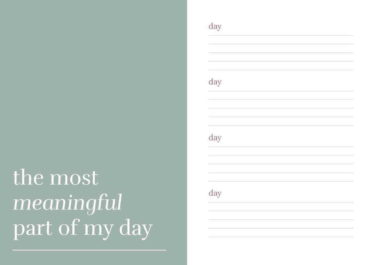 One Sentence a Day Journal