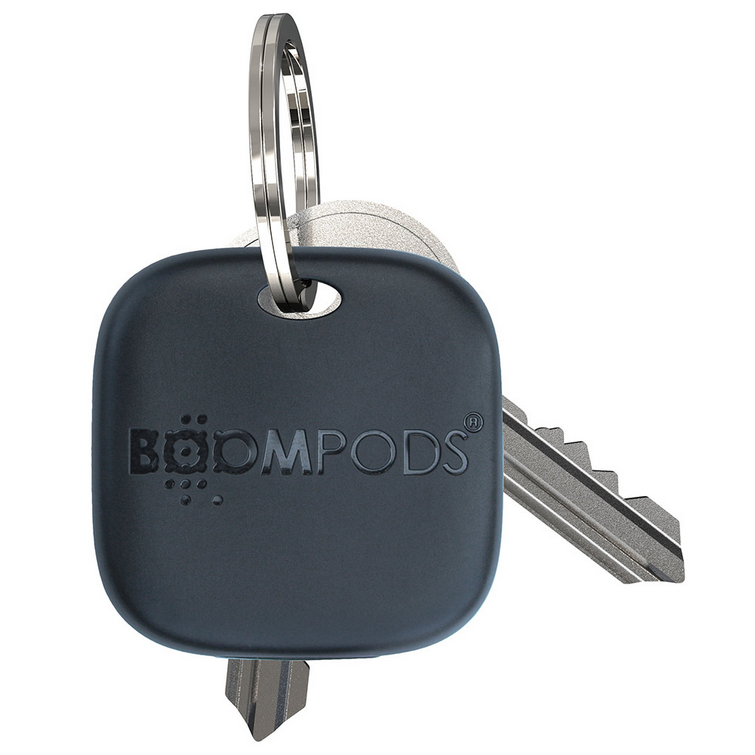 Key finder tag with metal loop and two keys, dark blue casing