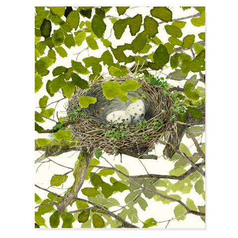 Just because greeting card with green leaf pattern and bird nest with eggs