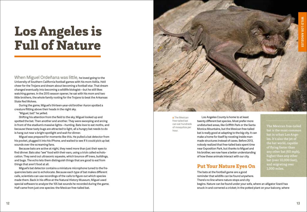 Open Wild LA booklet pages with Los Angeles nature heading and bat photo